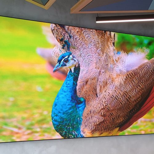 Painel de LED plano de parede exibindo imagem de pavão em alta definição