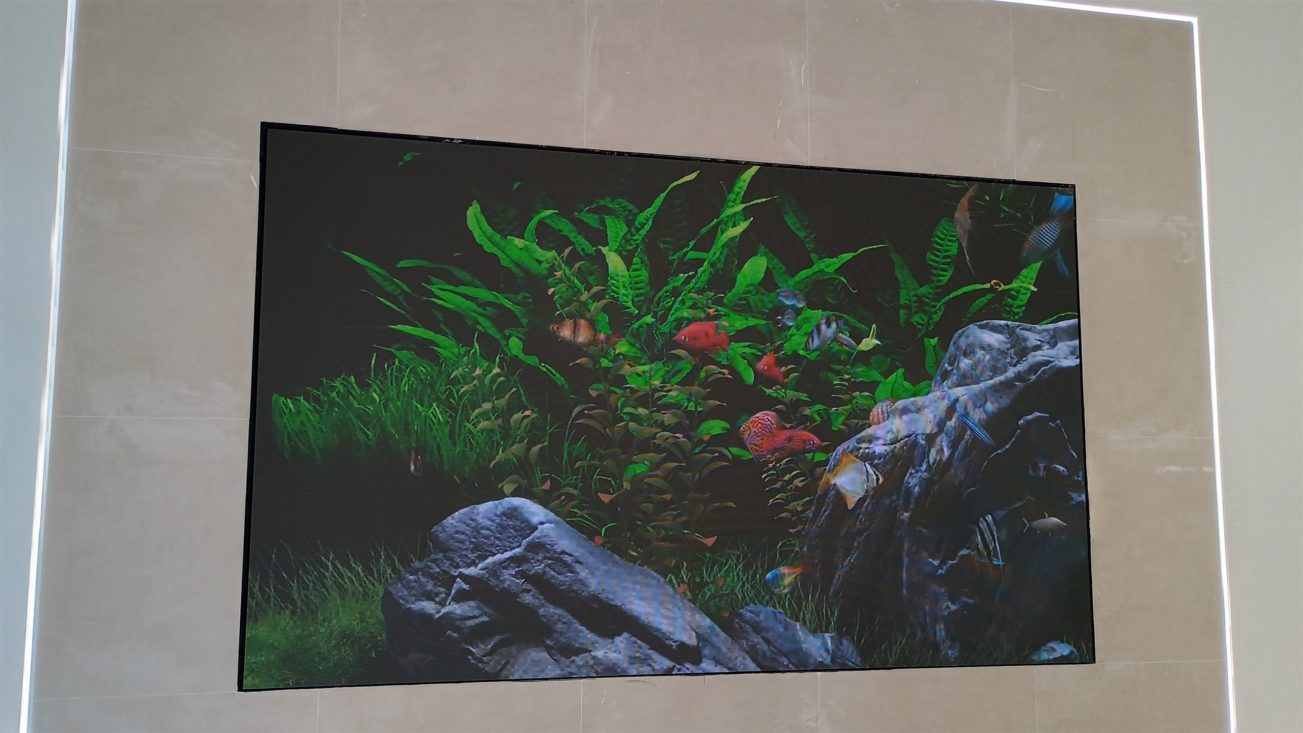 Painel de LED P2.5 instalado em parede de showroom exibindo cena de aquario com peixes e vegetacao em alta definicao