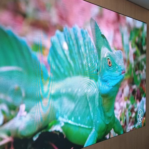 Painel de LED P1.8 fine pitch instalado pela Optiart para a Warner Bros, exibindo imagem em alta definicao em parede corporativa
