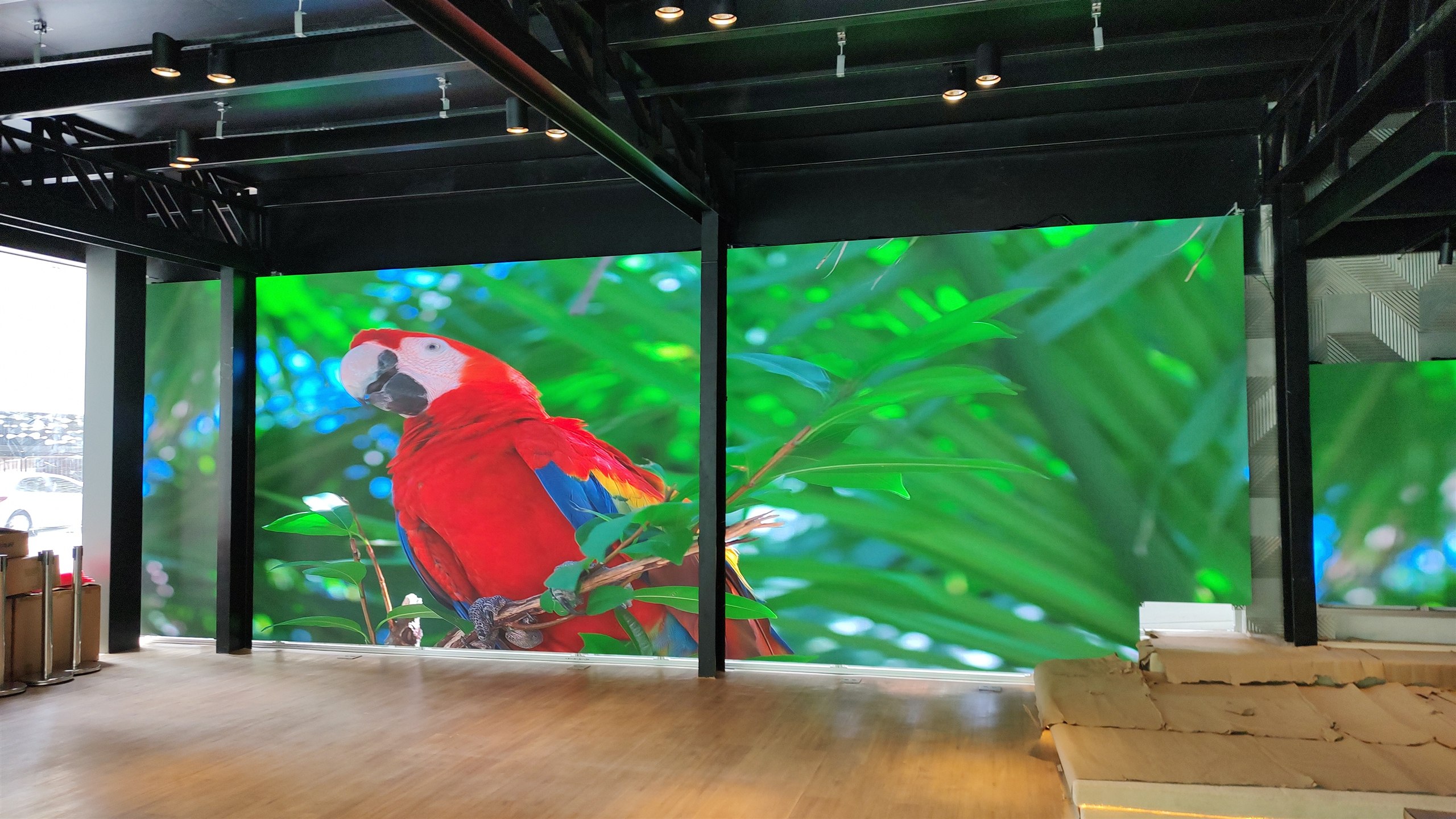 Painéis de LED ligados exibindo imagem de arara em alta definição no showroom Yamaha Intermezzo