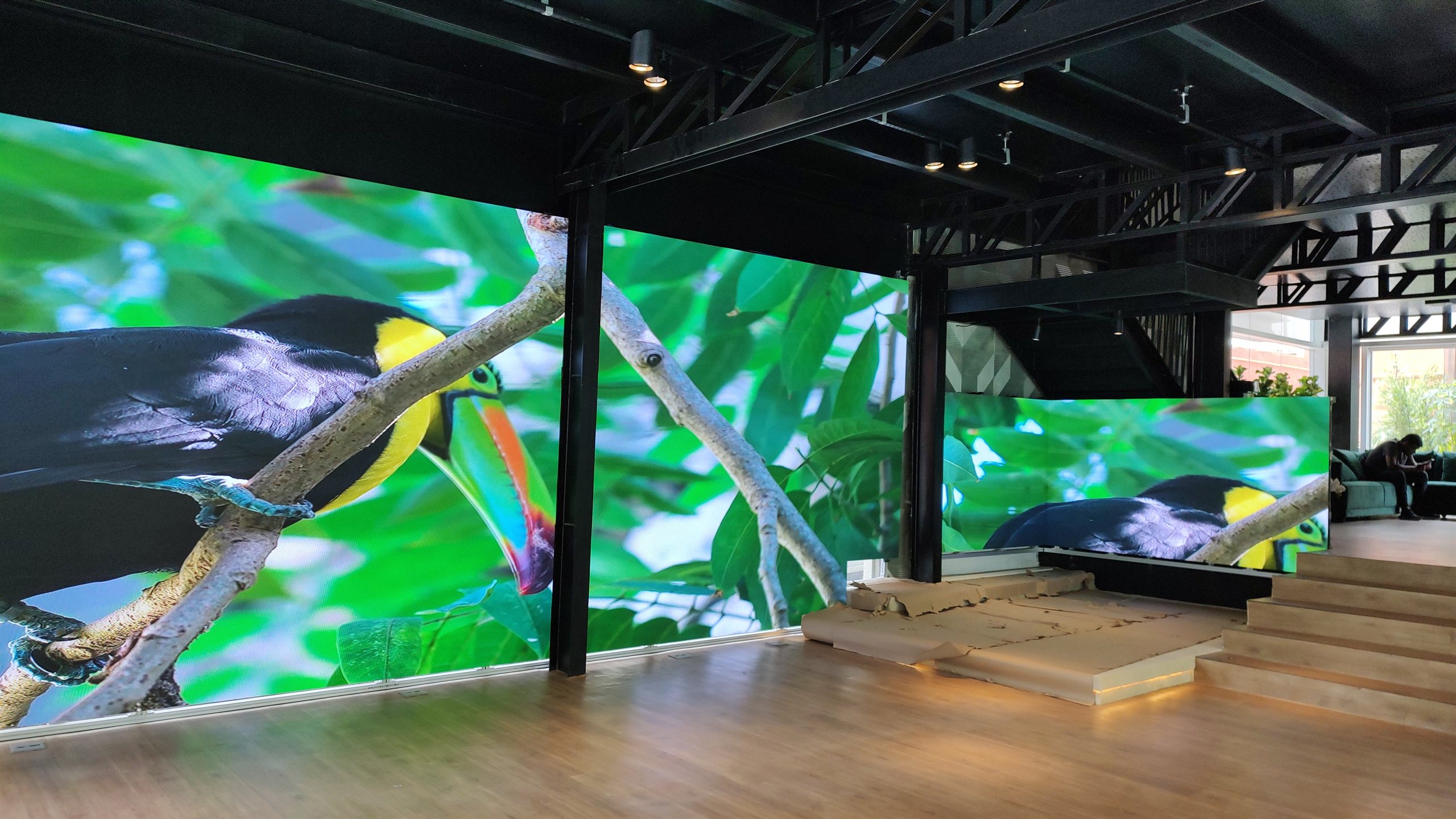 Painel de LED indoor exibindo imagem de tucano em alta definição no showroom da loja Yamaha Intermezzo, com segundo painel ao fundo