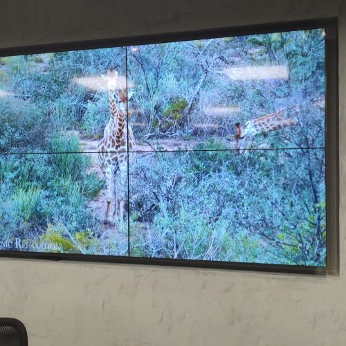 VideoWall 2x2 embutido em nicho na parede exibindo vídeo em tela cheia no escritório da Prudential em Salvador